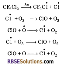 RBSE Solutions for Class 11 Chemistry Chapter 14 Environmental Chemistry 3