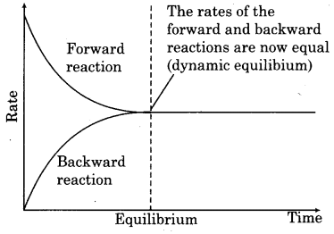 RBSE Solutions for Class 11 Chemistry Chapter 7 Equilibrium 29