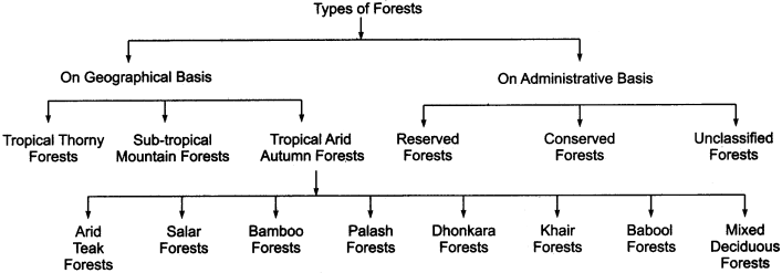 RBSE Solutions for Class 11 Indian Geography Chapter 13 Rajasthan Climate Vegetation and Soil img-2