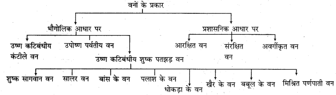 RBSE Solutions for Class 11 Indian Geography Chapter 13 राजस्थान जलवायु, वनस्पति व मृदा 2