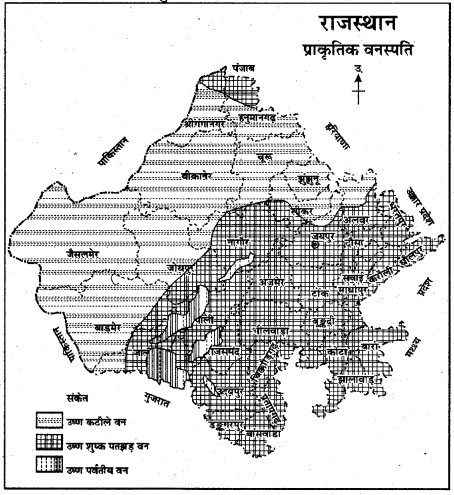 RBSE Solutions for Class 11 Indian Geography Chapter 13 राजस्थान जलवायु, वनस्पति व मृदा 8