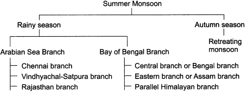 RBSE Solutions for Class 11 Indian Geography Chapter 6 Climate of India img-2