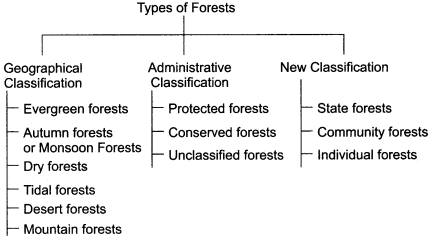 RBSE Solutions for Class 11 Indian Geography Chapter 8 Natural Vegetation of India img-2
