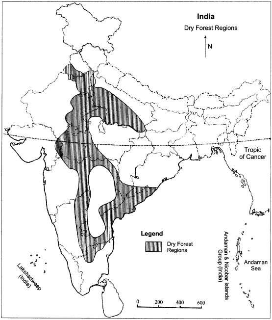 RBSE Solutions for Class 11 Indian Geography Chapter 8 Natural Vegetation of India img-4