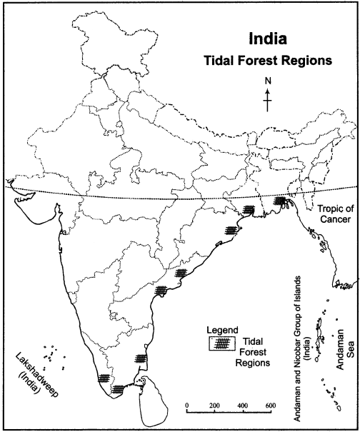 RBSE Solutions for Class 11 Indian Geography Chapter 8 Natural Vegetation of India img-5