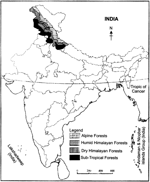 RBSE Solutions for Class 11 Indian Geography Chapter 8 Natural Vegetation of India img-6