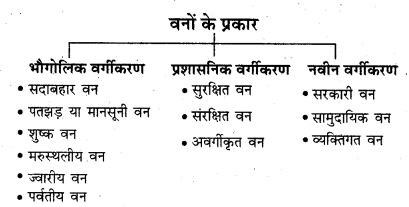 RBSE Solutions for Class 11 Indian Geography Chapter 8 भारत की प्राकृतिक वनस्पति 2
