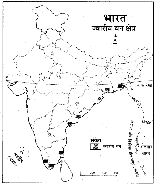RBSE Solutions for Class 11 Indian Geography Chapter 8 भारत की प्राकृतिक वनस्पति 5