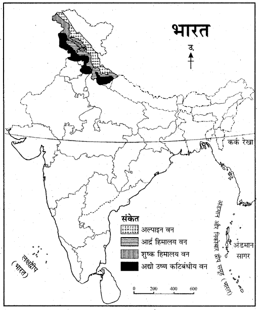 RBSE Solutions for Class 11 Indian Geography Chapter 8 भारत की प्राकृतिक वनस्पति 6