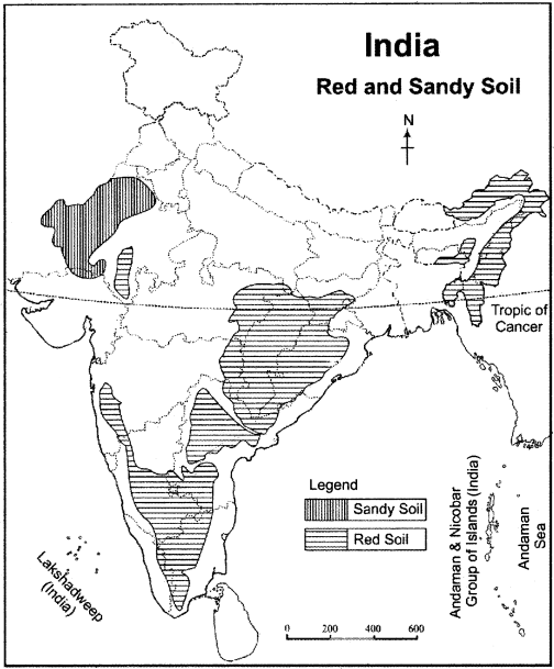 RBSE Solutions for Class 11 Indian Geography Chapter 9 Soil of India img-1
