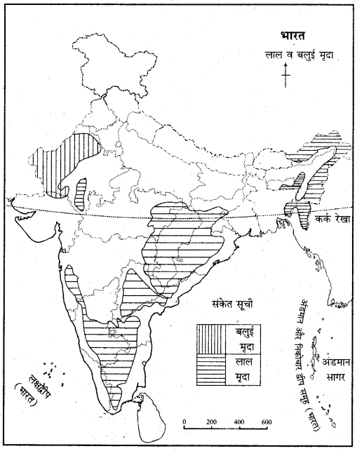 RBSE Solutions for Class 11 Indian Geography Chapter 9 भारत की मृदा 1