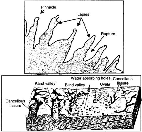 RBSE Solutions for Class 11 Physical Geography Chapter 10 Agents of Erosion img-11