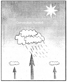 RBSE Solutions for Class 11 Physical Geography Chapter 15 Condensation and Rainfall img-2