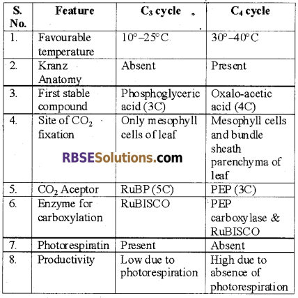 RBSE Solutions for Class 12 Biology Chapter 10 Photosynthesis 1