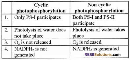 RBSE Solutions for Class 12 Biology Chapter 10 Photosynthesis 23