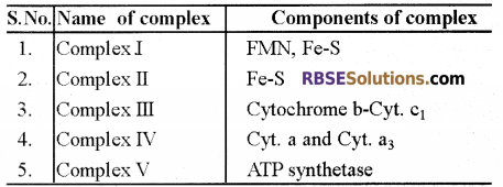 RBSE Solutions for Class 12 Biology Chapter 11 Respiration 18