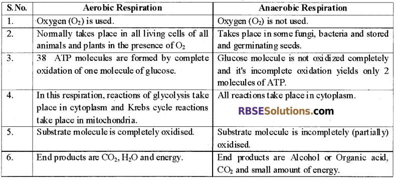 RBSE Solutions for Class 12 Biology Chapter 11 Respiration 2