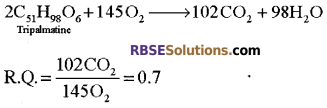 RBSE Solutions for Class 12 Biology Chapter 11 Respiration 21