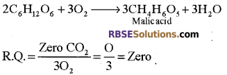 RBSE Solutions for Class 12 Biology Chapter 11 Respiration 23