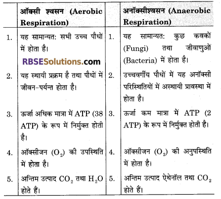 RBSE Solutions for Class 12 Biology Chapter 11 श्वसन 1