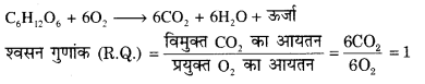 RBSE Solutions for Class 12 Biology Chapter 11 श्वसन 24