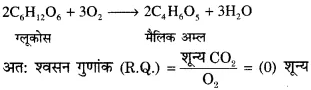 RBSE Solutions for Class 12 Biology Chapter 11 श्वसन 33