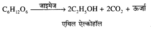 RBSE Solutions for Class 12 Biology Chapter 11 श्वसन 34