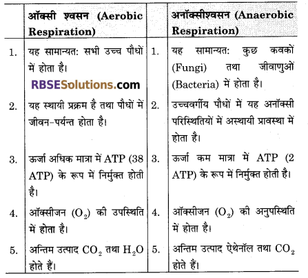 RBSE Solutions for Class 12 Biology Chapter 11 श्वसन 45