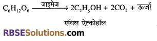 RBSE Solutions for Class 12 Biology Chapter 11 श्वसन 61
