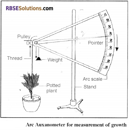 RBSE Solutions for Class 12 Biology Chapter 13 Plant Growth 3