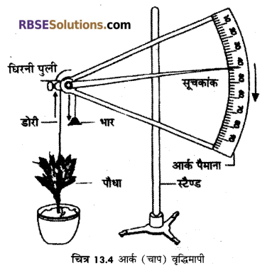 RBSE Solutions for Class 12 Biology Chapter 13 पादप वृद्धि 10