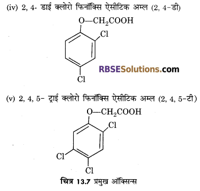RBSE Solutions for Class 12 Biology Chapter 13 पादप वृद्धि 14