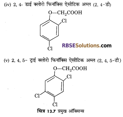 RBSE Solutions for Class 12 Biology Chapter 13 पादप वृद्धि 18