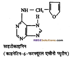 RBSE Solutions for Class 12 Biology Chapter 13 पादप वृद्धि 20