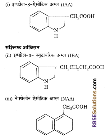 RBSE Solutions for Class 12 Biology Chapter 13 पादप वृद्धि 4