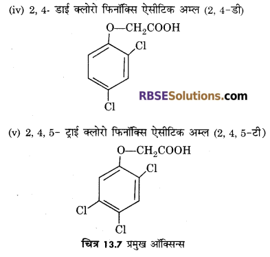 RBSE Solutions for Class 12 Biology Chapter 13 पादप वृद्धि 5