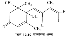 RBSE Solutions for Class 12 Biology Chapter 13 पादप वृद्धि 6