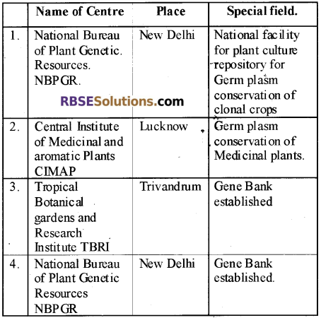 RBSE Solutions for Class 12 Biology Chapter 14 Biotechnology General Introduction 2
