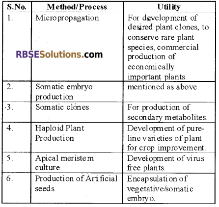 RBSE Solutions for Class 12 Biology Chapter 14 Biotechnology General Introduction 3