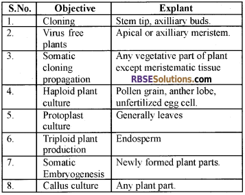 RBSE Solutions for Class 12 Biology Chapter 16 Plant Tissue Culture img 10