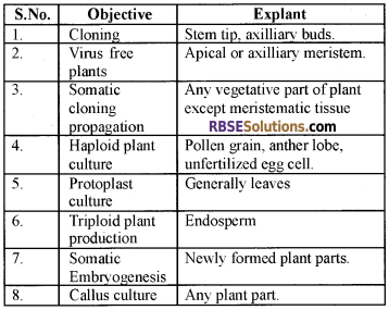 RBSE Solutions for Class 12 Biology Chapter 16 Plant Tissue Culture img 6