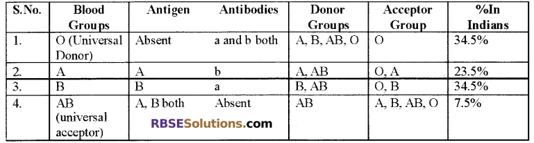 RBSE Solutions for Class 12 Biology Chapter 24 Man-Blood Vascular, System 3