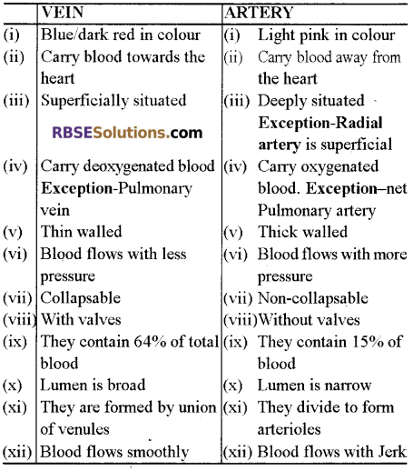 RBSE Solutions for Class 12 Biology Chapter 24 Man-Blood Vascular, System 7