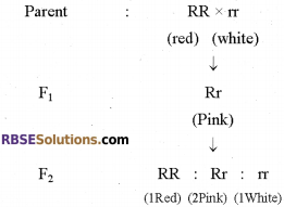 RBSE Solutions for Class 12 Biology Chapter 35 Mendel’s Law of Inheritance img 9