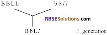 RBSE Solutions for Class 12 Biology Chapter 36 Man-Chromosomal Aberrations img 1
