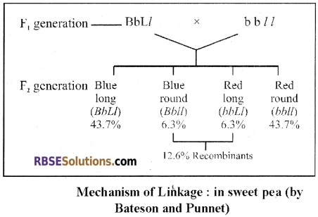 RBSE Solutions for Class 12 Biology Chapter 36 Man-Chromosomal Aberrations img 2
