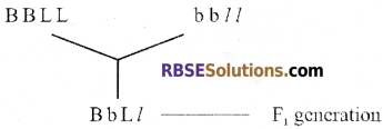 RBSE Solutions for Class 12 Biology Chapter 36 Man-Chromosomal Aberrations img 4