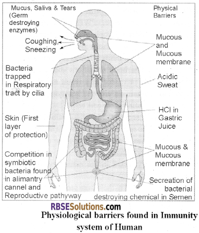 RBSE Solutions for Class 12 Biology Chapter 39 Immune System img 1