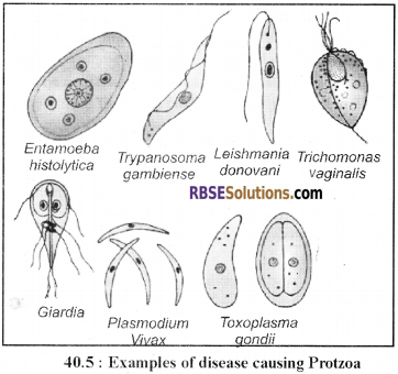 RBSE Solutions for Class 12 Biology Chapter 40 Important and Common Human Diseases img 3