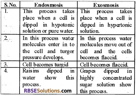 RBSE Solutions for Class 12 Biology Chapter 5 Plant Water Relations 1